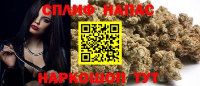 стафф Будённовск
