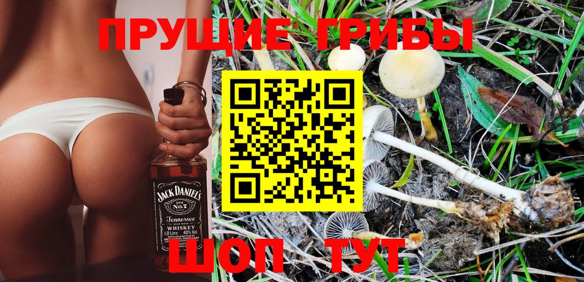 Галлюциногенные грибы Cubensis Королёв