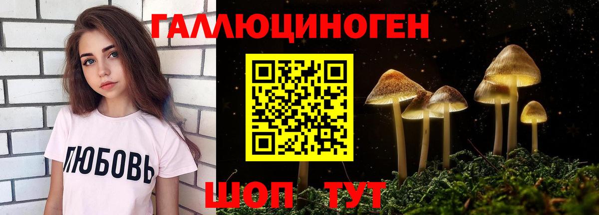 Королёв  Галлюциногенные грибы MAGIC MUSHROOMS  Вход с VPN 